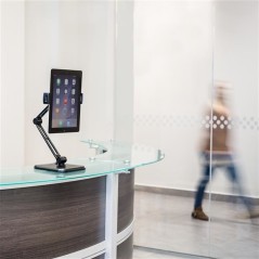 StarTechcom TABLET STAND - DESKWALL MOUNT